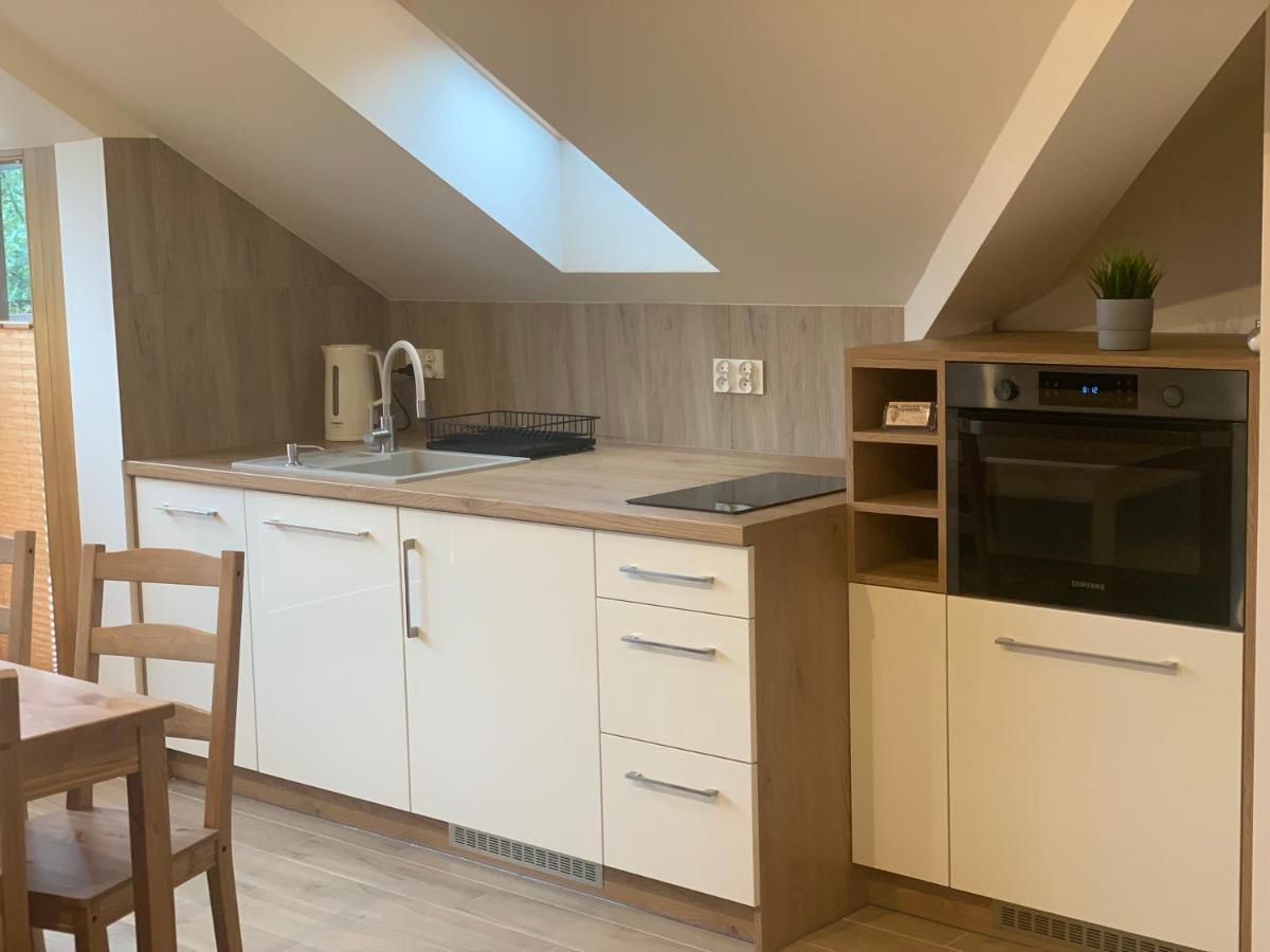 Apartamento Mlynek Parkowa Zakopane Exterior foto